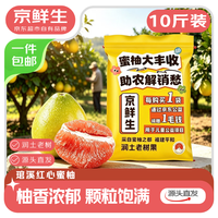 京鲜生 福建琯溪蜜柚净重10斤 大小果混发 源头直发