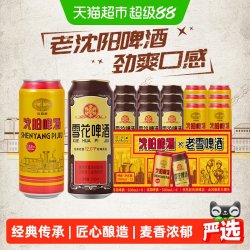 SNOWFLK 沈阳老雪500ml*9听+沈阳啤酒500ml*6听