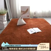 布迪思 高端羊羔绒客厅卧室地毯轻奢纯色家用沙发茶几加厚防滑毛绒床边毯 羊羔绒-咖啡色 180
