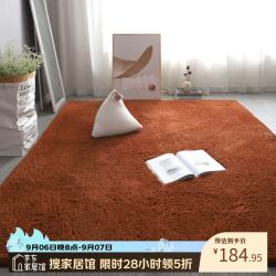 布迪思 高端羊羔绒客厅卧室地毯轻奢纯色家用沙发茶几加厚防滑毛绒床边毯 羊羔绒-咖啡色 180