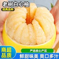 果力四射 正宗福建白心蜜柚大蜜柚薄皮白心柚子白肉蜜柚当季新鲜水果净重8.5斤
