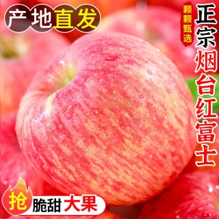 汇果康 山东烟台红富士当季新鲜苹果水果应整箱栖霞脆甜时令丑苹果冰糖心