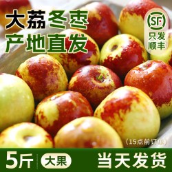 福瑞达 陕西大荔冬枣脆甜5枣子新鲜当季水果鲜枣原产地直发整箱顺丰包邮3