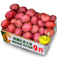 果仁伊 云南红皮黄心土豆现挖包邮新鲜小土豆农家蔬菜洋芋自种马铃薯批发