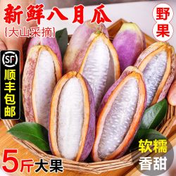 八月瓜八月炸水果野果当季整箱包邮罕见水果8月预支子鲜果牛卵坨
