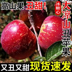 探味君 正宗大凉山丑苹果冰糖心苹果新鲜水果当季现摘四川红富士大果整箱