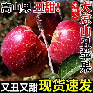 探味君 正宗大凉山丑苹果冰糖心苹果新鲜水果当季现摘四川红富士大果整箱