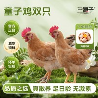三德子好甄选 三德子 大别山金寨童子鸡双只 农家散养土鸡仔公鸡新鲜宰杀鸡肉