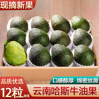 译优农 云南孟连哈斯牛油果新鲜水果国产鳄梨大果健康轻食 4粒实惠中果