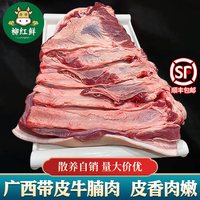 带皮牛肉 新鲜现杀带皮牛腩肉 广西散养带皮牛肉黄牛肉肚腩肉