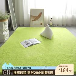布迪思 高端羊羔绒客厅卧室地毯轻奢纯色家用沙发茶几加厚防滑毛绒床边毯 羊羔绒-果绿色 180