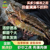 峰雷福建黑虎虾鲜活速冻超大斑节对虾海虾九竹节虾深海捕捞老虎虾