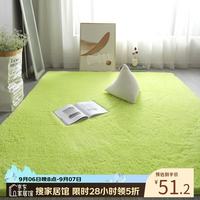 布迪思 高端羊羔绒客厅卧室地毯轻奢纯色家用沙发茶几加厚防滑毛绒床边毯 羊羔绒-果绿色 80