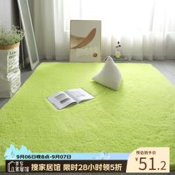 布迪思 高端羊羔绒客厅卧室地毯轻奢纯色家用沙发茶几加厚防滑毛绒床边毯 羊羔绒-果绿色 80