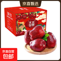 京喜自营-专用品牌 花牛苹果 甘肃当季新鲜红蛇粉面苹果婴儿辅食水果中秋礼盒送礼 花牛苹果净重4.5斤70MM+