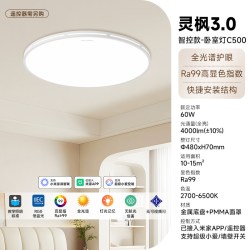 Yeelight 全光谱护眼吸顶灯led超亮现代简约大气客厅灯已接入米家
