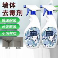SONSEL 墙面墙体除霉剂家具彩色墙壁发霉防霉去霉斑墙纸霉菌清除剂500ML 500ml 2瓶