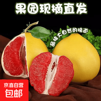 京喜加 福建平和琯溪红心蜜柚现摘当季红肉柚子爆汁清甜新鲜水果整箱 红心蜜柚 带箱1-1.5斤