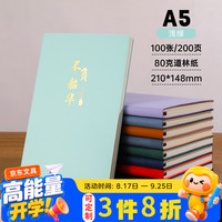 熬环 笔记本子简约200页加厚A5羊巴皮面商务记事本工作会议日记学生可定制logo礼盒 单本浅绿色