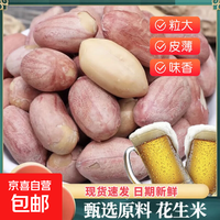 京喜 五香花生大粒大料花生米袋装下酒菜烤熟休闲零食 五香花生五香味 500g*1袋