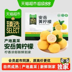 江昊阳 猫超臻选江昊阳四川安岳黄柠檬尤力克当季现摘新鲜水果小金桔整箱