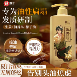 霸王 生姜去屑止痒洗发液 600ml