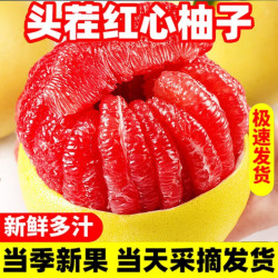 集年鲜 福建琯溪蜜柚红心柚子新鲜柚子当季时令现采生鲜水果节日送礼团购 含箱5斤净重4.5斤铂金果