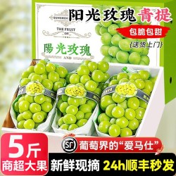 鲜蜜季 阳光玫瑰葡萄5斤晴王无籽葡萄新鲜水果礼盒整箱青提子