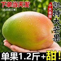 绿念 四川攀枝花凯特芒果新鲜应季水果澳芒青整箱包邮特大青果当季10斤