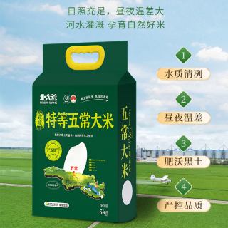 北大荒 2025年新米北大荒特等五常大米5kg原粮稻花香2号10斤东北19266
