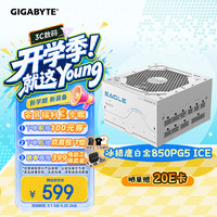技嘉 双白金牌氮化镓 电源