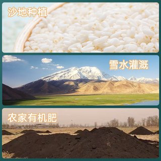 沙垦庄园 新疆长粒香米 10斤 袋装