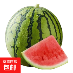 麒麟西瓜之乡郭庙西瓜美都8424新鲜麒麟瓜头茬无籽西瓜孕妇水果 4-6斤