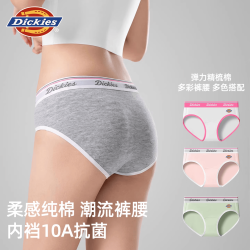 Dickies 女士10A抗菌纯棉三角内裤 3条