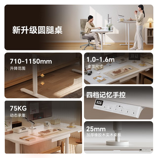乐歌 E8 电动升降 白色 1.4m 电脑桌