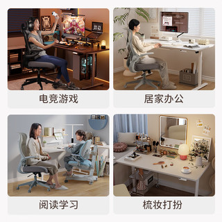 乐歌 E8 电动升降 白色 1.4m 电脑桌