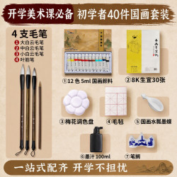 苏拉达 中国画颜料套装初学小学生儿童美术课必备水墨画山水工笔画入门12色5ml sd133 开学季文具套装