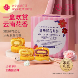 嘉华食品 云腿多口味月饼礼盒 鲜花奶心月饼 600g