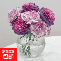 京喜 云南鲜花教师节康乃馨源头基地鲜切花礼物水养插花批发 随机单色不挑色康乃馨10枝