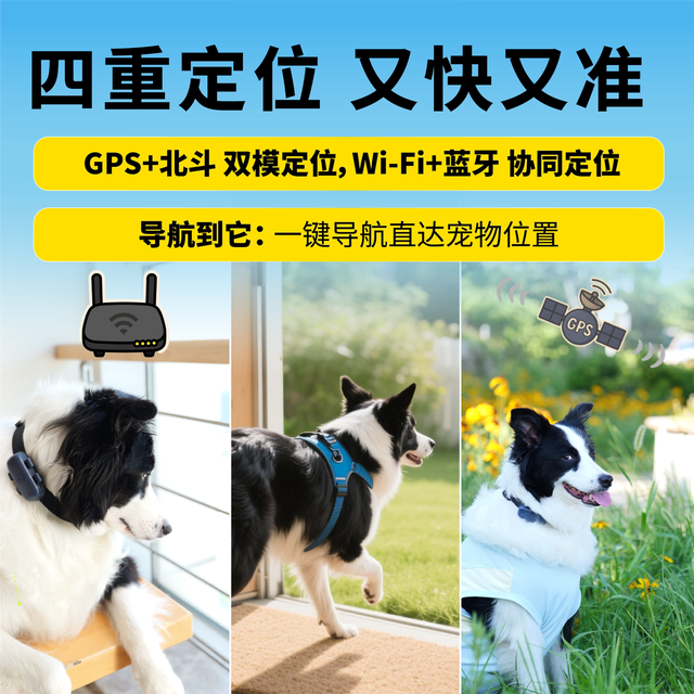 尾巴信标宠物智能定位器实时定位电子围栏长久续航健康数据检测