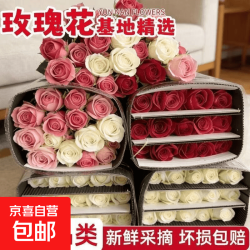 京喜 粉色红色玫瑰鲜花送女友求婚花束家居装饰云南基地直发 随机色单头多头玫瑰