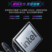 机械革命 旷世X i5-14450HX RTX5050 星际灰 游戏本