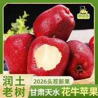 百亿补贴：胡鲜森 甘肃天水花牛苹果新鲜当季红蛇果软糯水果批发4.5斤起
