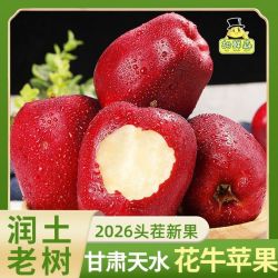 胡鲜森 甘肃天水花牛苹果新鲜当季红蛇果软糯水果批发4.5斤起