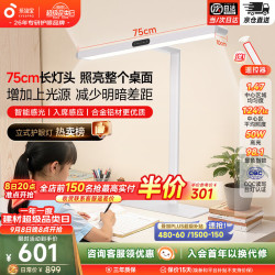 孩视宝 R系列标准款 50W自然光 台式大路灯