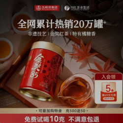 川红 拍1发2 川红茶业工夫红茶四川特产橘糖香型红茶叶共300g