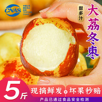 优味集 正宗陕西大荔冬枣 2斤装丨大果15g+丨净1.8-2斤