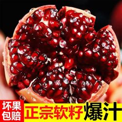 杰胖娃生鲜水果 会理突尼斯软籽石榴