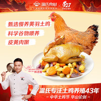 温氏 供港黄油鸡 1kg