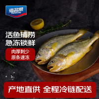 海名威 鲜冻黄花鱼 2条 700g